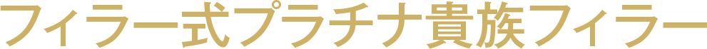 フィラー式プラチナ貴族フィラー